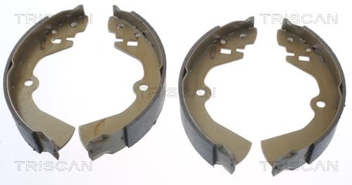 Bromsbackar från TRISCAN