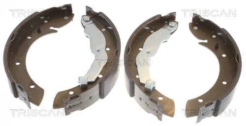 Bromsbackar från TRISCAN