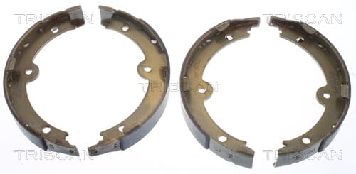 Bromsbackar handbroms från TRISCAN