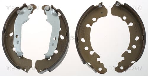 Bromsbackar från TRISCAN