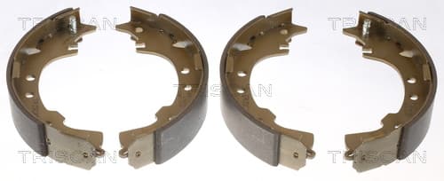 Bromsbackar från TRISCAN