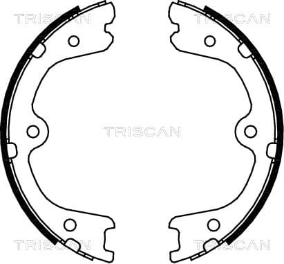 Bromsbackar handbroms från TRISCAN