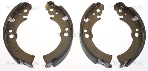 Bromsbackar från TRISCAN