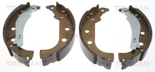 Bromsbackar från TRISCAN