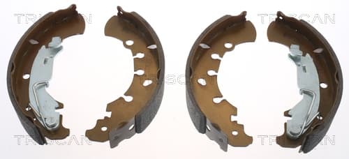 Bromsbackar från TRISCAN