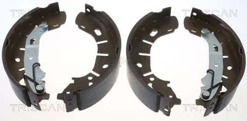 Bromsbackar från TRISCAN