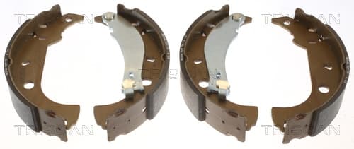 Bromsbackar från TRISCAN