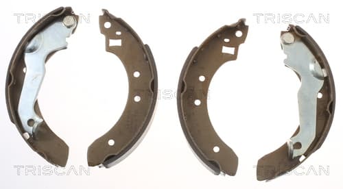 Bromsbackar från TRISCAN