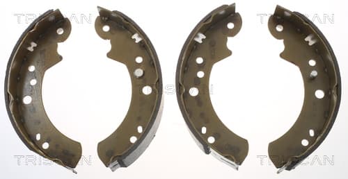 Bromsbackar från TRISCAN