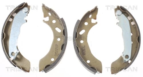 Bromsbackar från TRISCAN