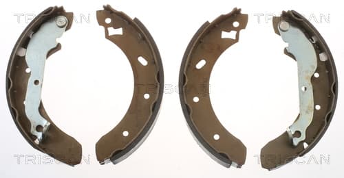 Bromsbackar från TRISCAN