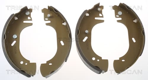 Bromsbackar från TRISCAN