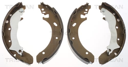 Bromsbackar från TRISCAN