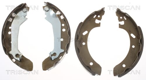 Bromsbackar från TRISCAN