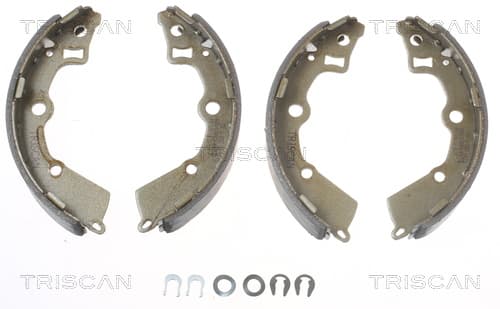 Bromsbackar från TRISCAN