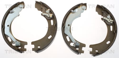 Bromsbackar från TRISCAN