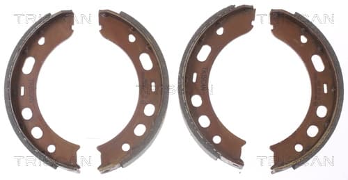 Bromsbackar handbroms från TRISCAN