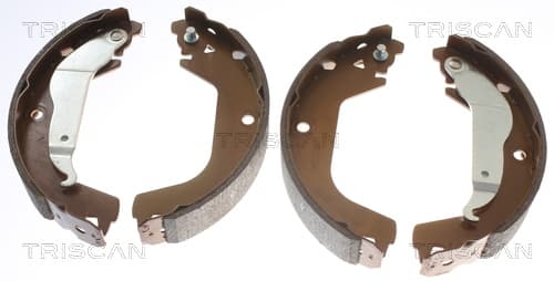 Bromsbackar från TRISCAN