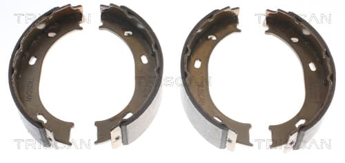 Bromsbackar handbroms från TRISCAN