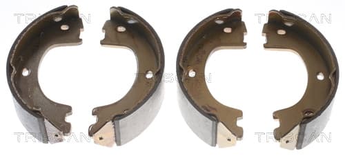 Bromsbackar från TRISCAN