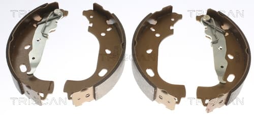 Bromsbackar från TRISCAN