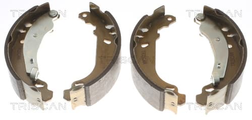 Bromsbackar från TRISCAN