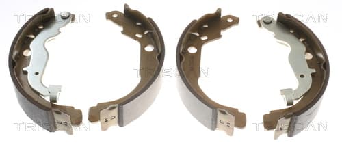 Bromsbackar från TRISCAN