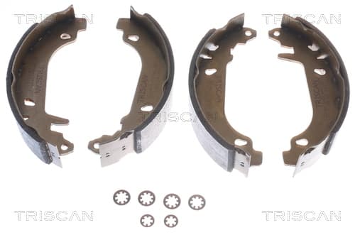 Bromsbackar från TRISCAN