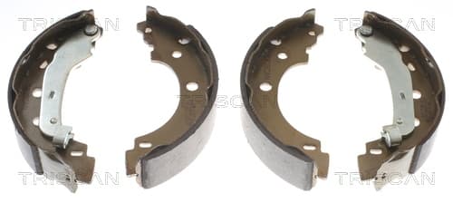 Bromsbackar från TRISCAN