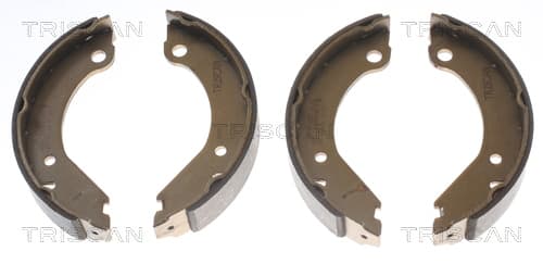Bromsbackar handbroms från TRISCAN