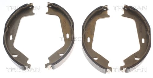 Bromsbackar handbroms från TRISCAN