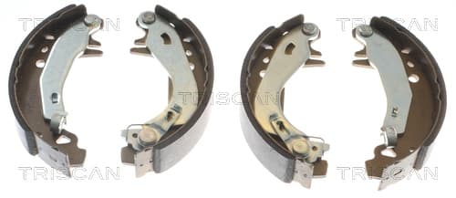 Bromsbackar från TRISCAN