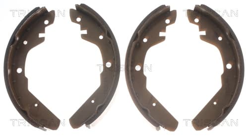 Bromsbackar från TRISCAN