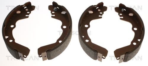 Bromsbackar från TRISCAN