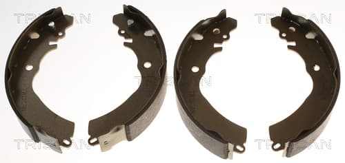 Bromsbackar från TRISCAN