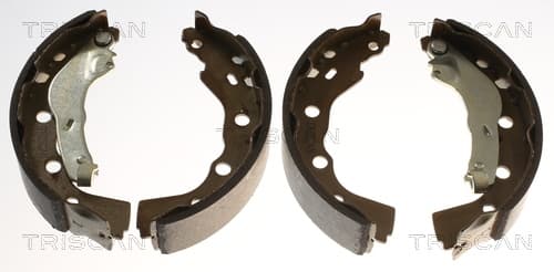 Bromsbackar från TRISCAN
