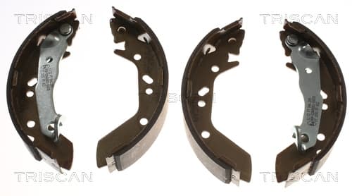 Bromsbackar från TRISCAN