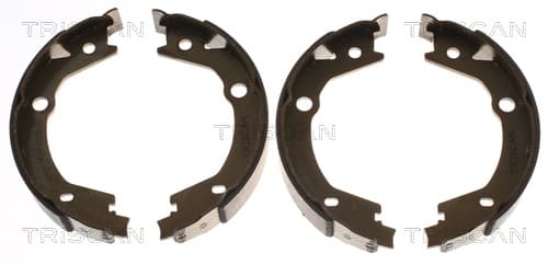 Bromsbackar handbroms från TRISCAN
