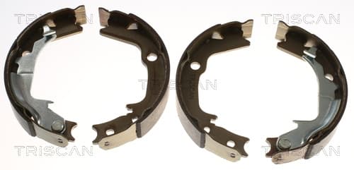 Bromsbackar från TRISCAN
