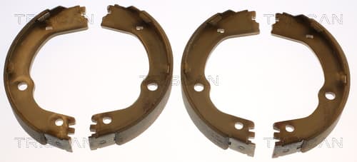 Bromsbackar handbroms från TRISCAN