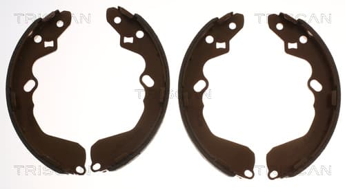 Bromsbackar från TRISCAN