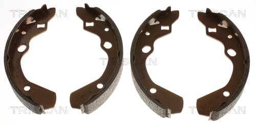 Bromsbackar från TRISCAN