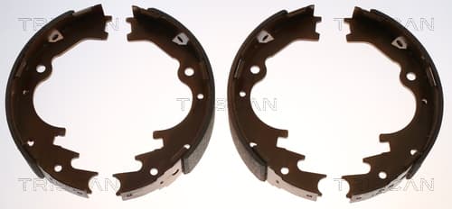 Bromsbackar från TRISCAN