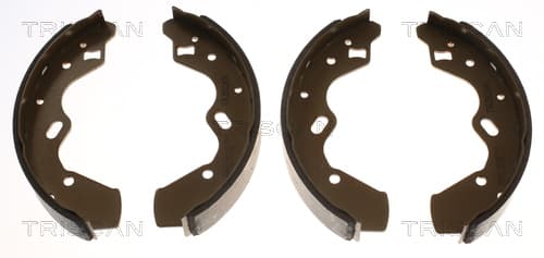 Bromsbackar från TRISCAN