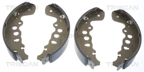 Bromsbackar från TRISCAN