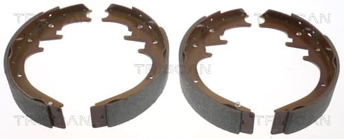 Bromsbackar från TRISCAN