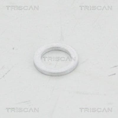 Skiva från TRISCAN