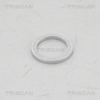Skiva från TRISCAN