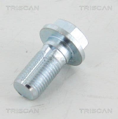 Hålskruv från TRISCAN