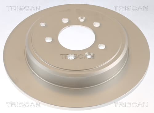 Bromsskiva bak, coated från TRISCAN